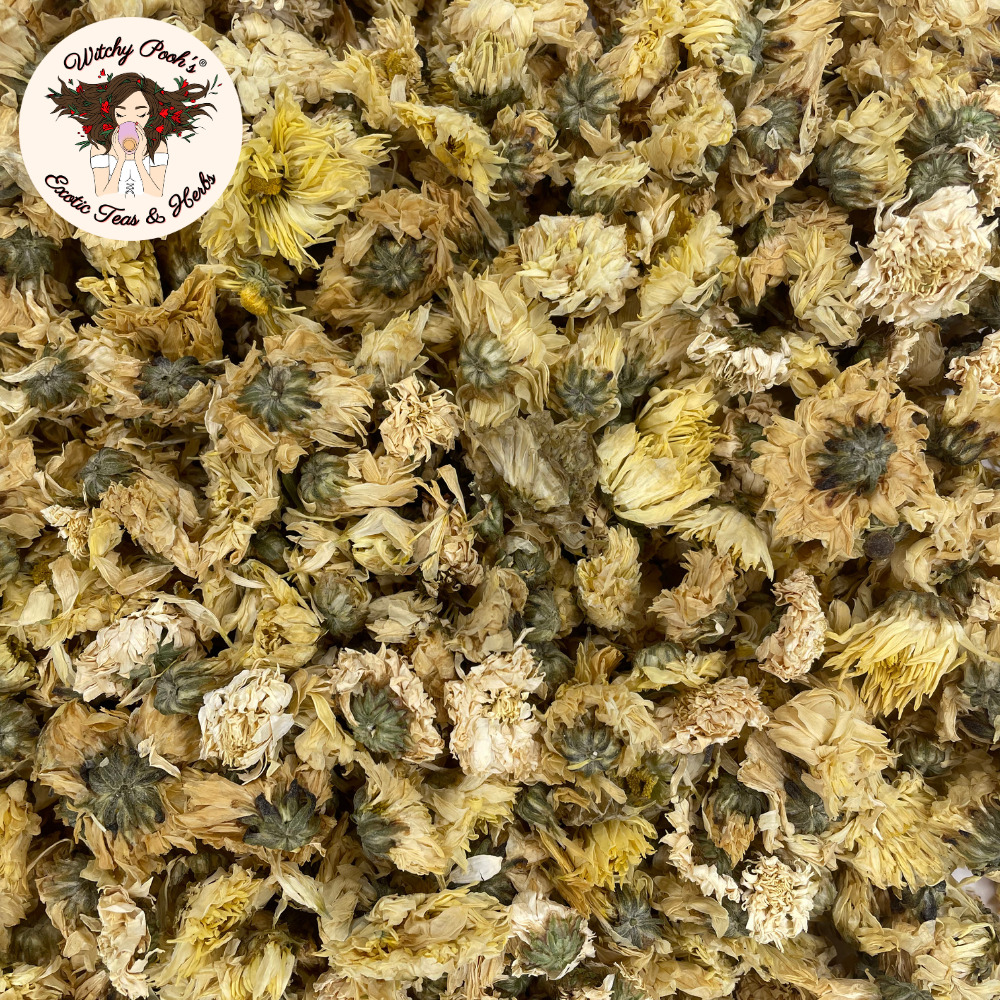 Witchy Pooh's Chrysanthemum Tea - Whole Flowers, Caffeine Free-1
