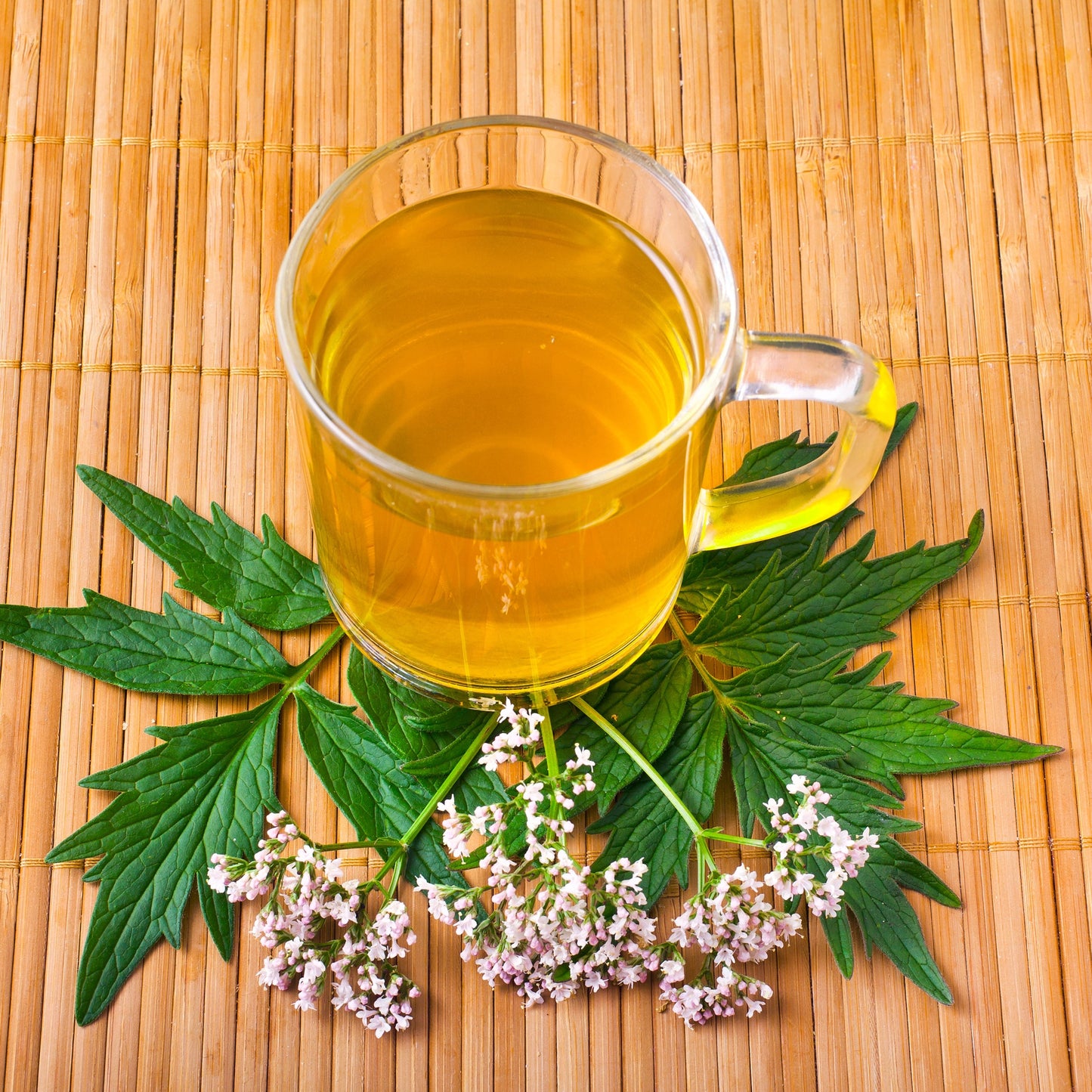 Witchy Pooh's Valerian Root Tea - Loose Leaf, Caffeine Free-2