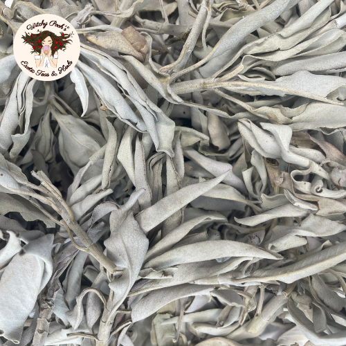 Witchy Pooh's White Sage - Clusters & Loose Leaves, Caffeine Free-1