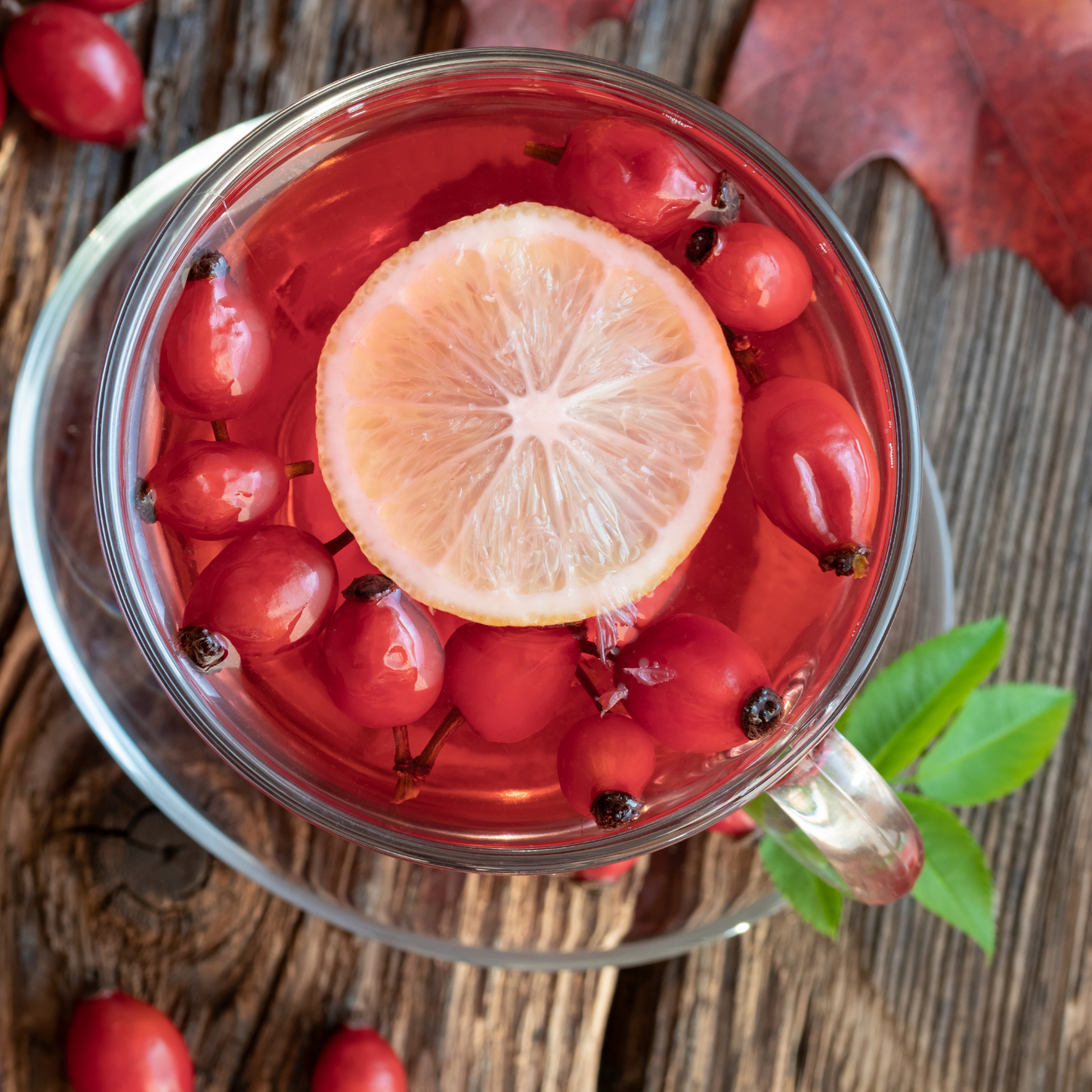 Witchy Pooh's Rose Hips Fruit Tea - Whole, Caffeine Free-3