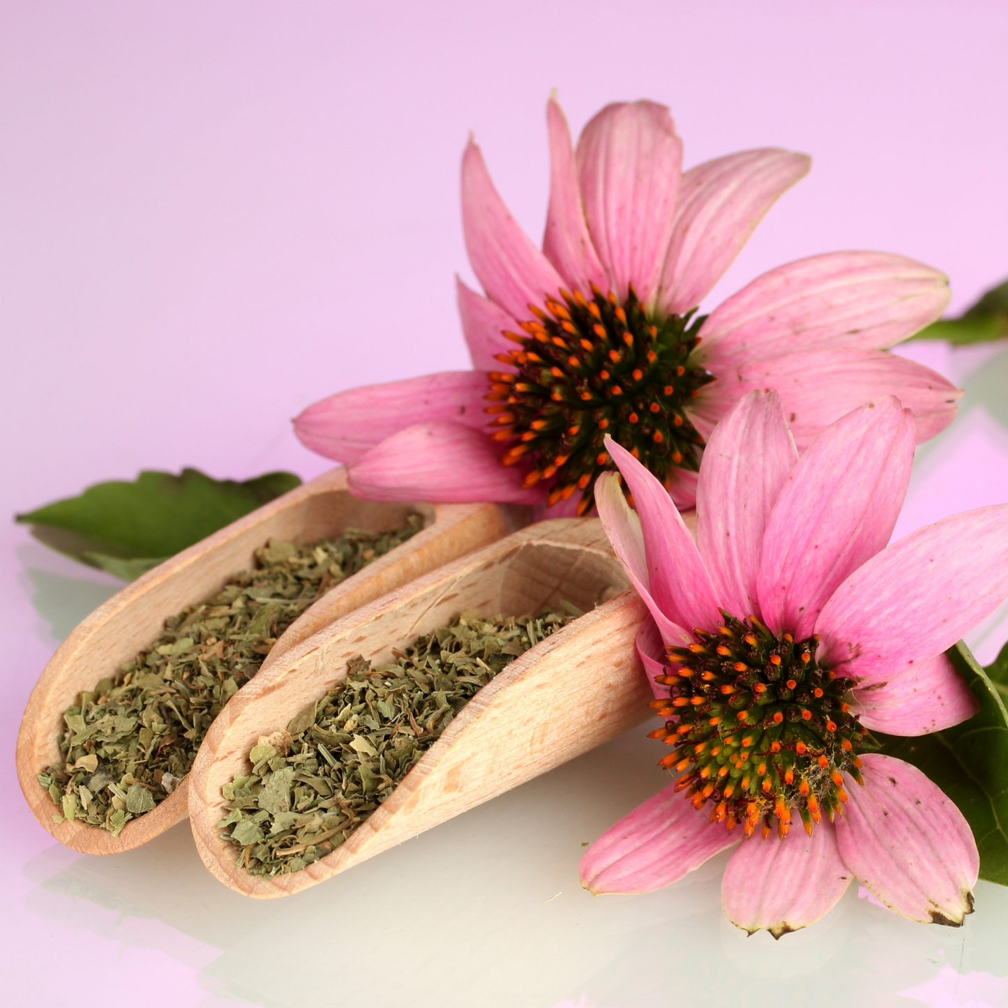 Witchy Pooh's Echinacea Tea - Purpurea, Loose Leaf Herbal Tea, Caffeine Free-1