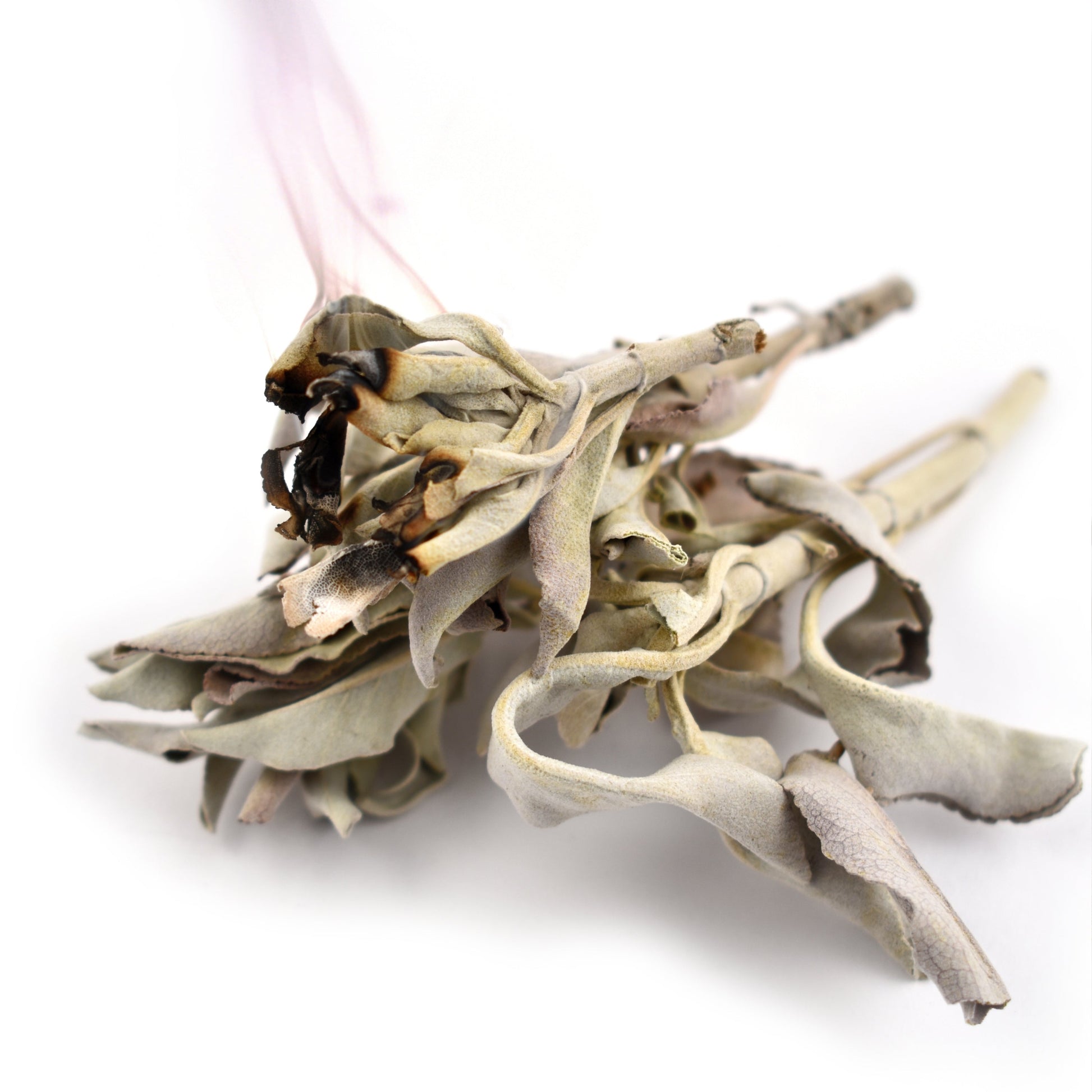 Witchy Pooh's White Sage - Clusters & Loose Leaves, Caffeine Free-2
